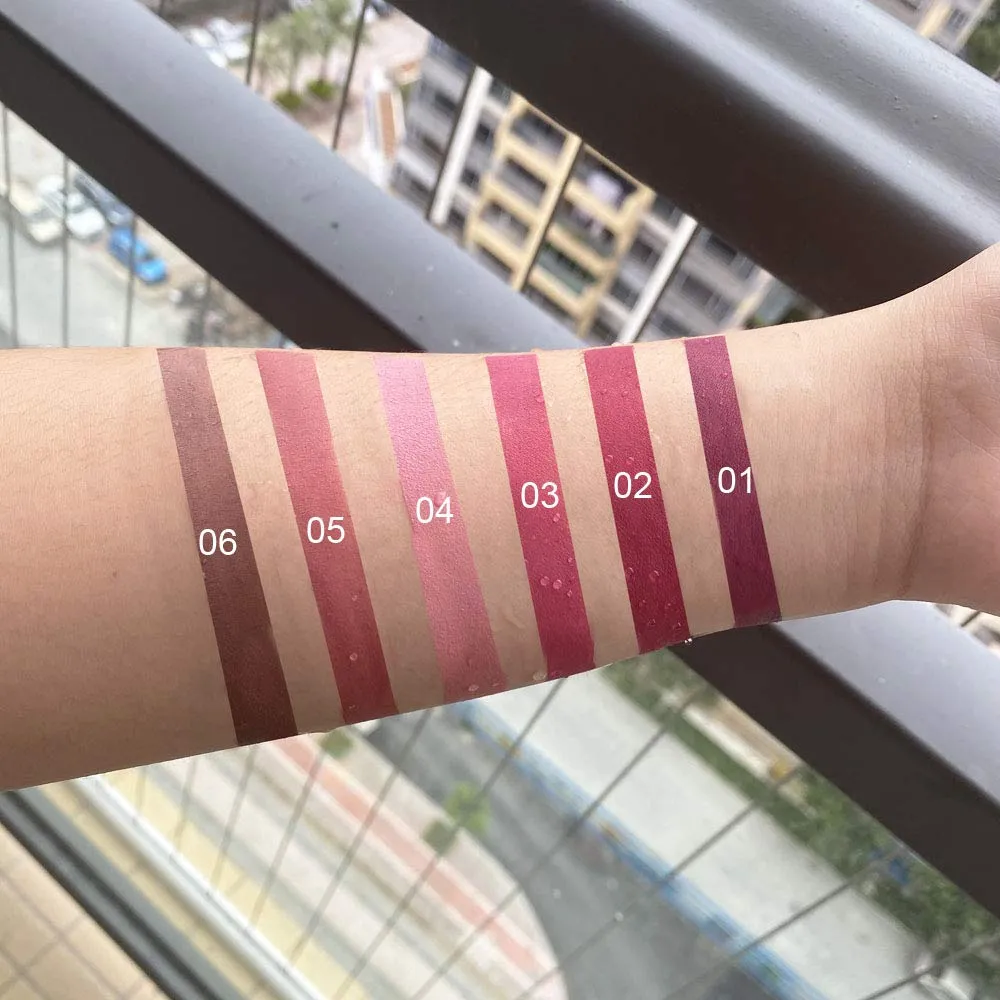 6Pcs Skull Face Matte Liquid Lipstick Set Lip Stain Makeup,24 Hour Long Lasting Waterproof Dark Red Matte Matt Lipsticks Lip Gloss Sets for Women Matt Liquid labiales matte larga duracion 24 Set03