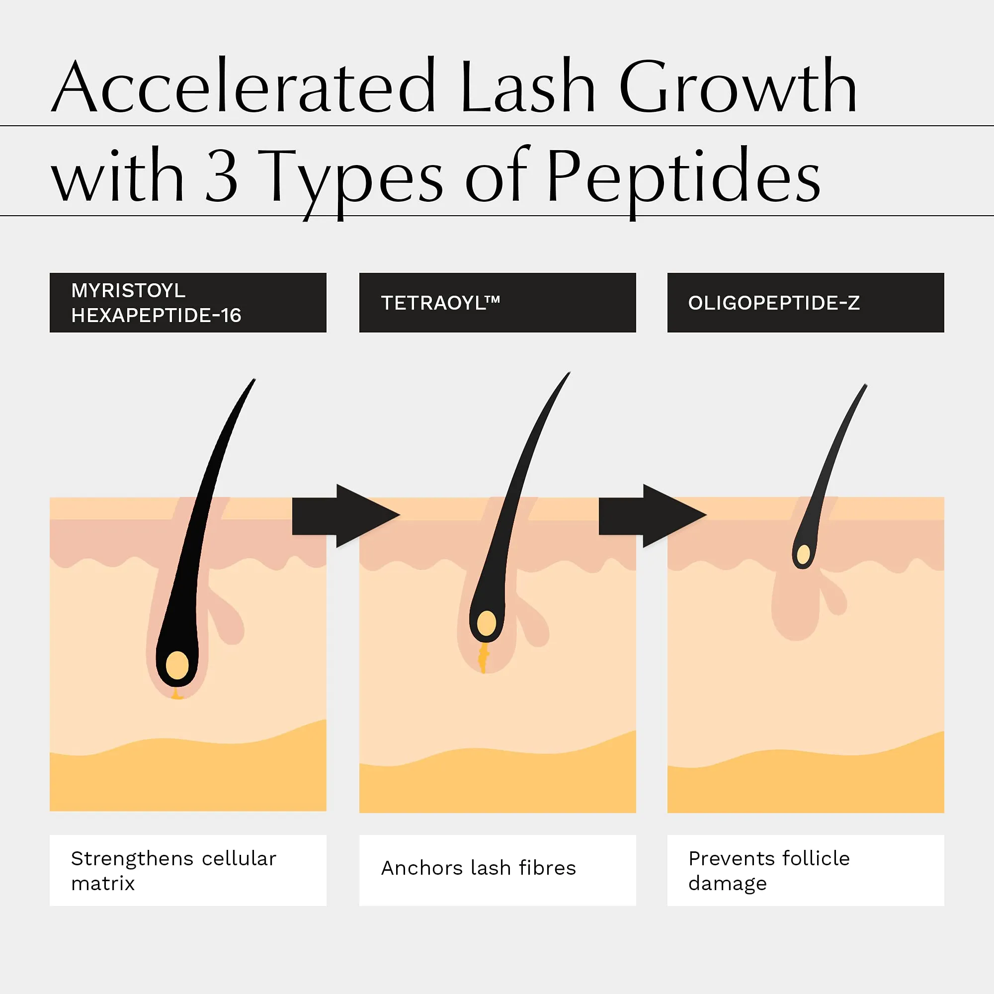 Advanced Eyelash Serum - 3X MORE EFFECTIVE with BIOACTIVE PEPTIDES and PATENTED TETRAOYL™ - Lengthens, Thickens, Strengthens - 2X MORE CONDITIONING - 68% More Volume