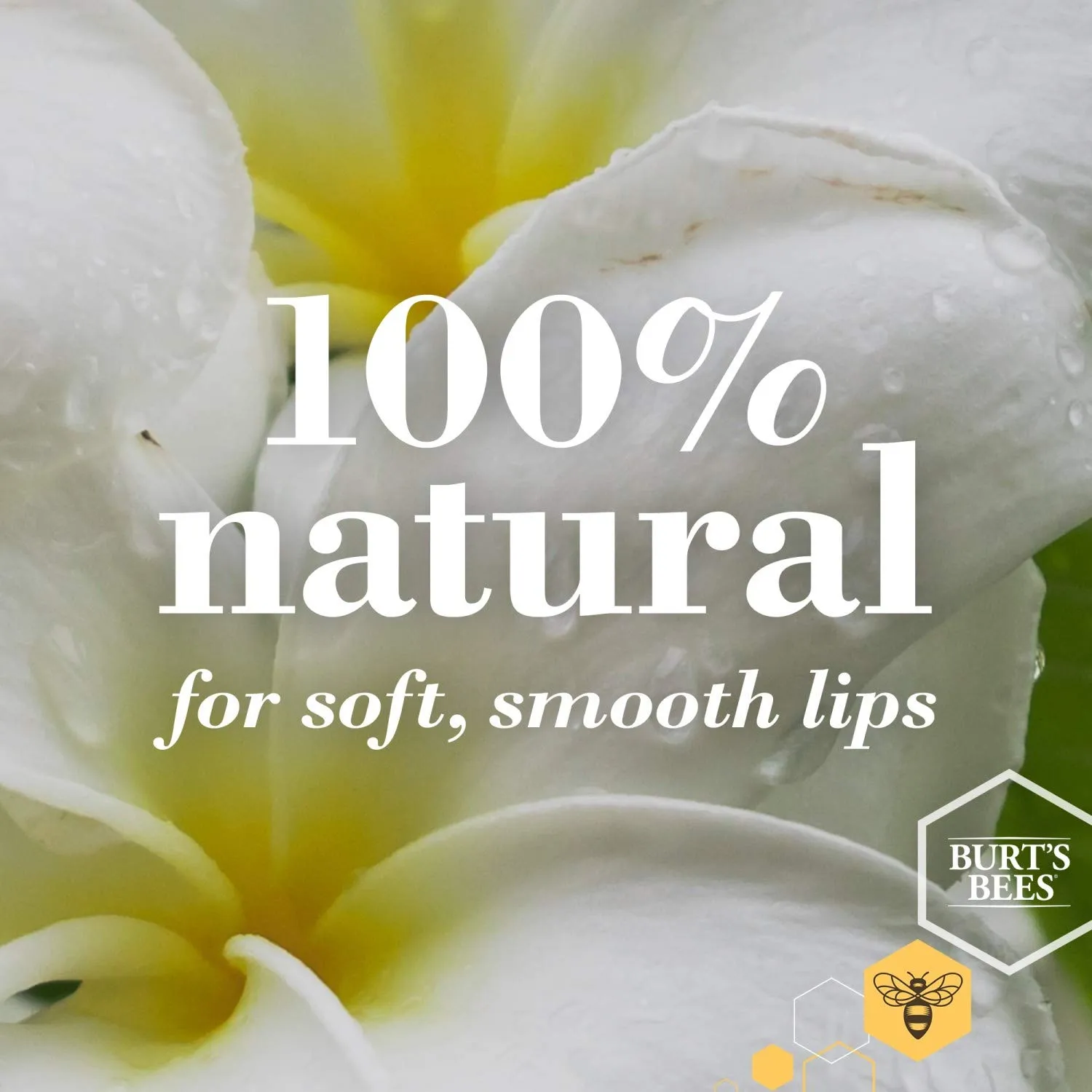 Burt's Bees 100% Natural Moisturizing Lip Balm, Coconut & Pear and Mango with Beeswax & Fruit Extracts - 2 Tubes, 2 Fl OZ