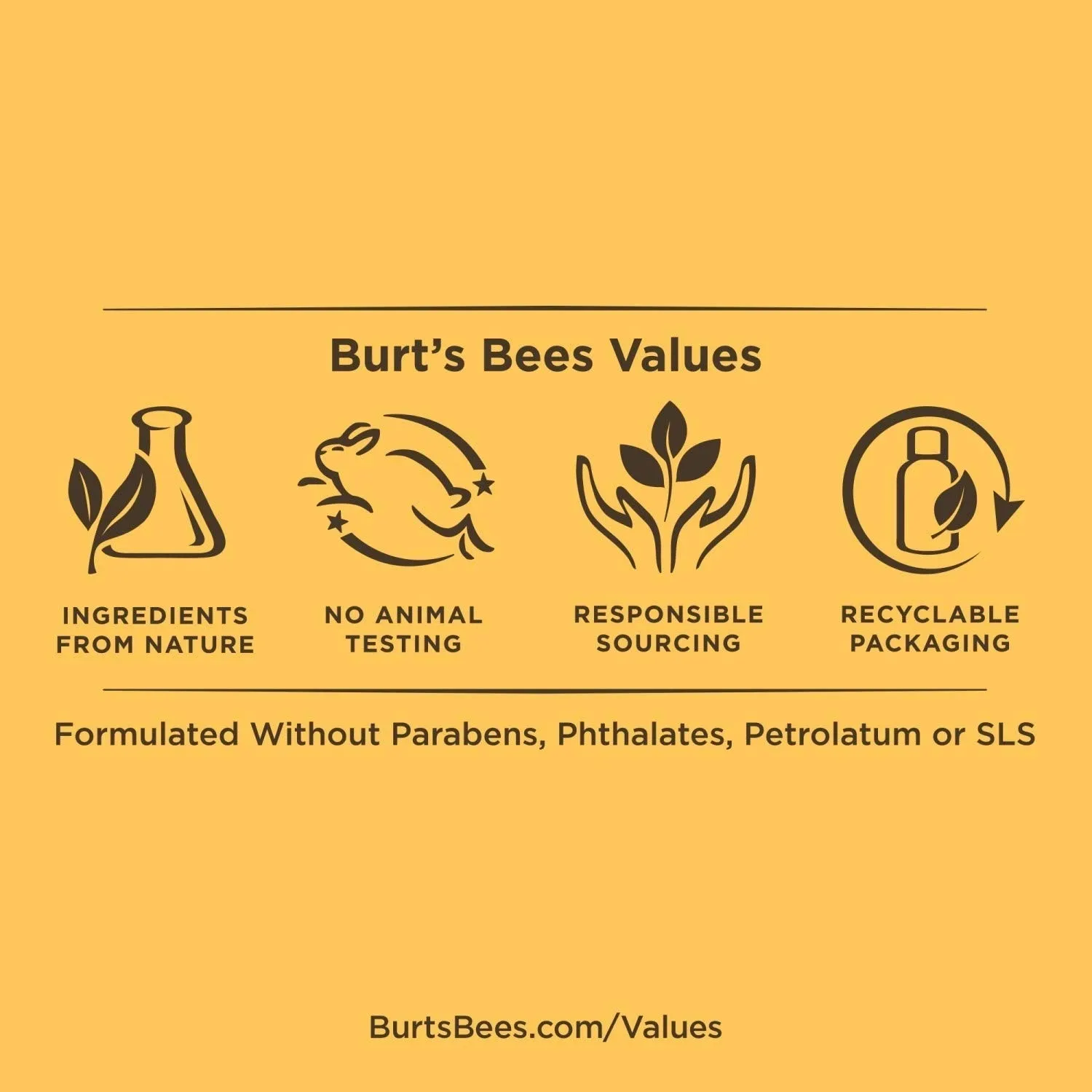 Burt's Bees 100% Natural Moisturizing Lip Shine, Smooch - 1 Tube, 0.5 Ounce