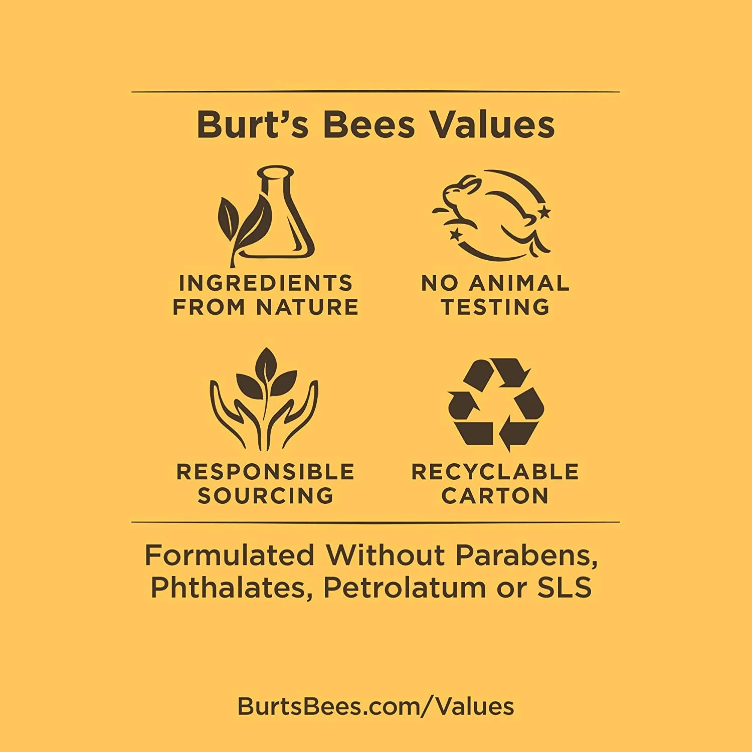 Burt's Bees 100% Natural Origin Moisturizing Lip Balm, Watermelon, 4 Tubes