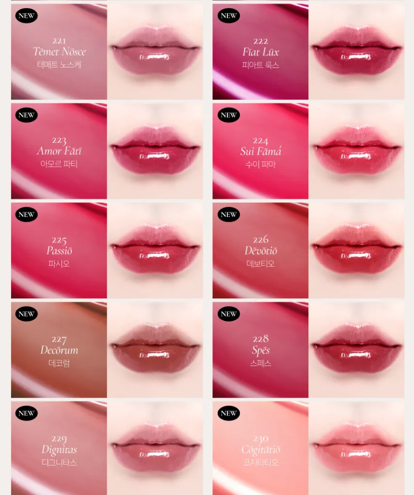 Dinto Blur Glowy Lip Tint 3.5g [New Color]