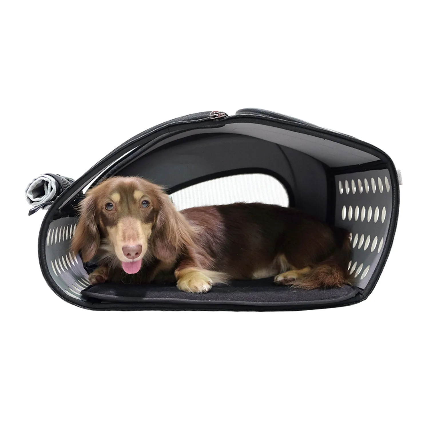 Ibiyaya 5-in-1 Combo Eva Pet Carrier & Stroller Royal Blue