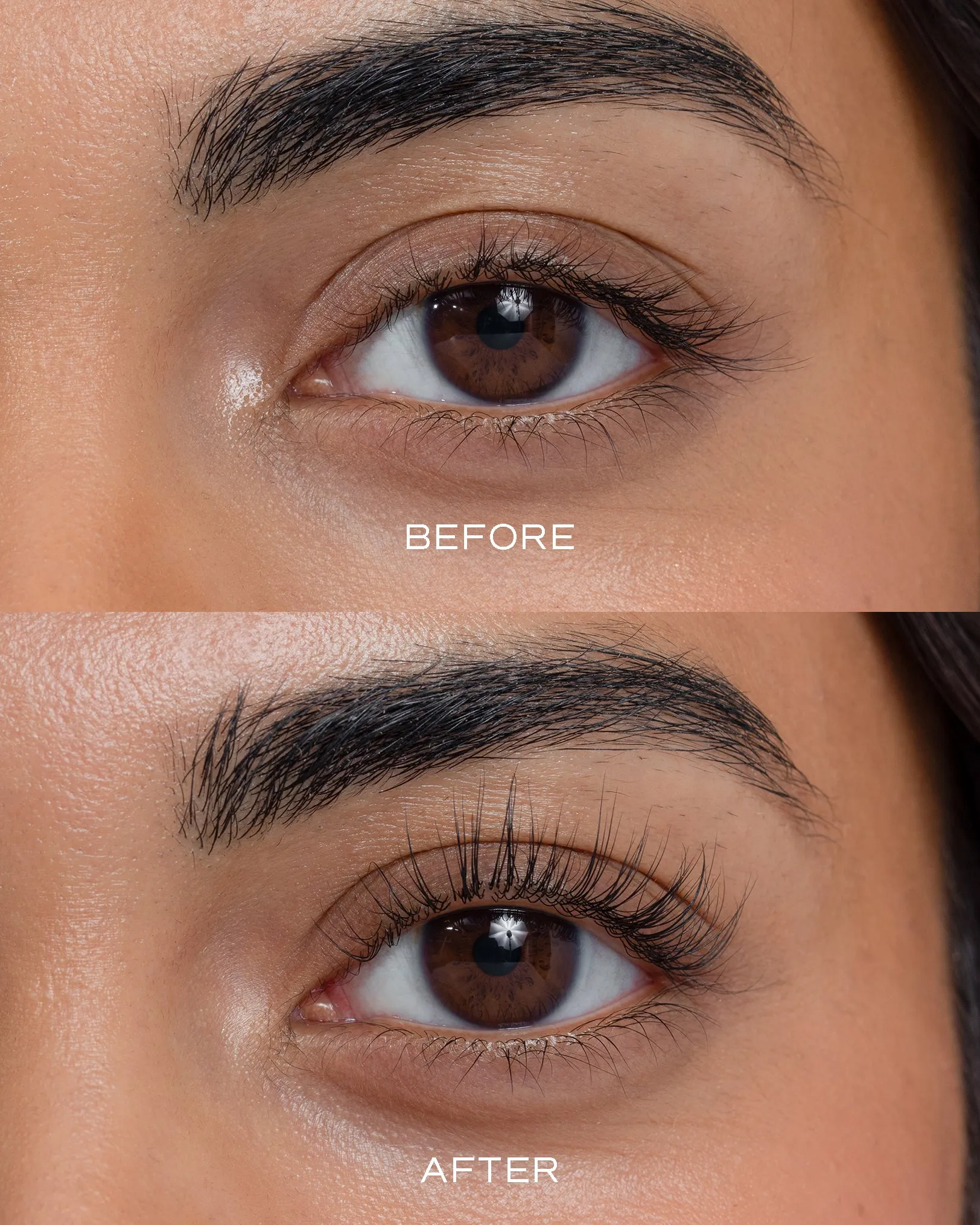 Lush Lift: Silk-infused Lash Lift