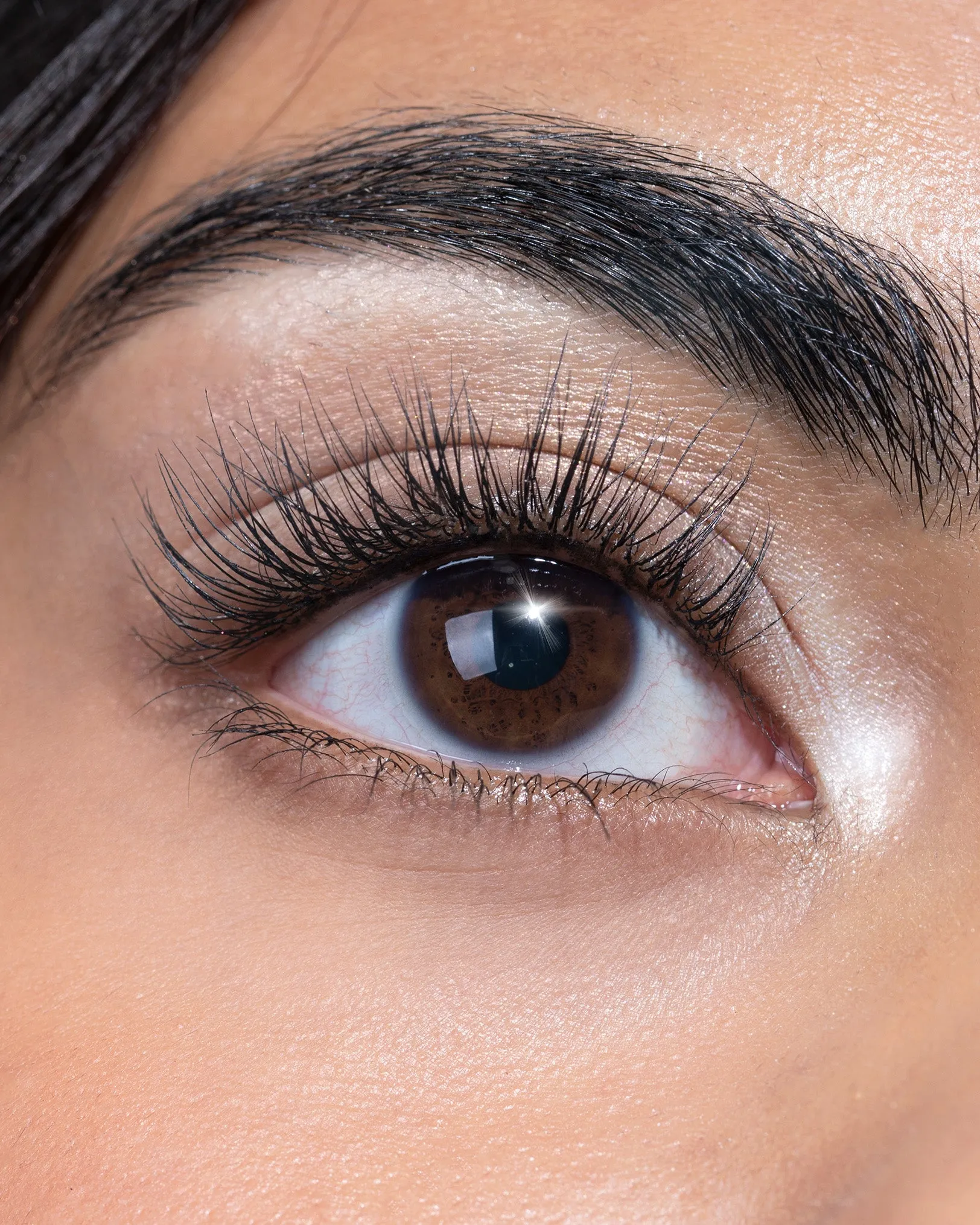 Lush Lift: Silk-infused Lash Lift