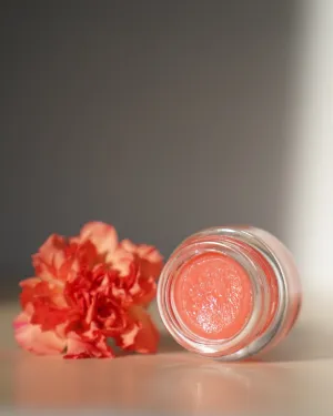 NOURISH Lip   Cheek Tint