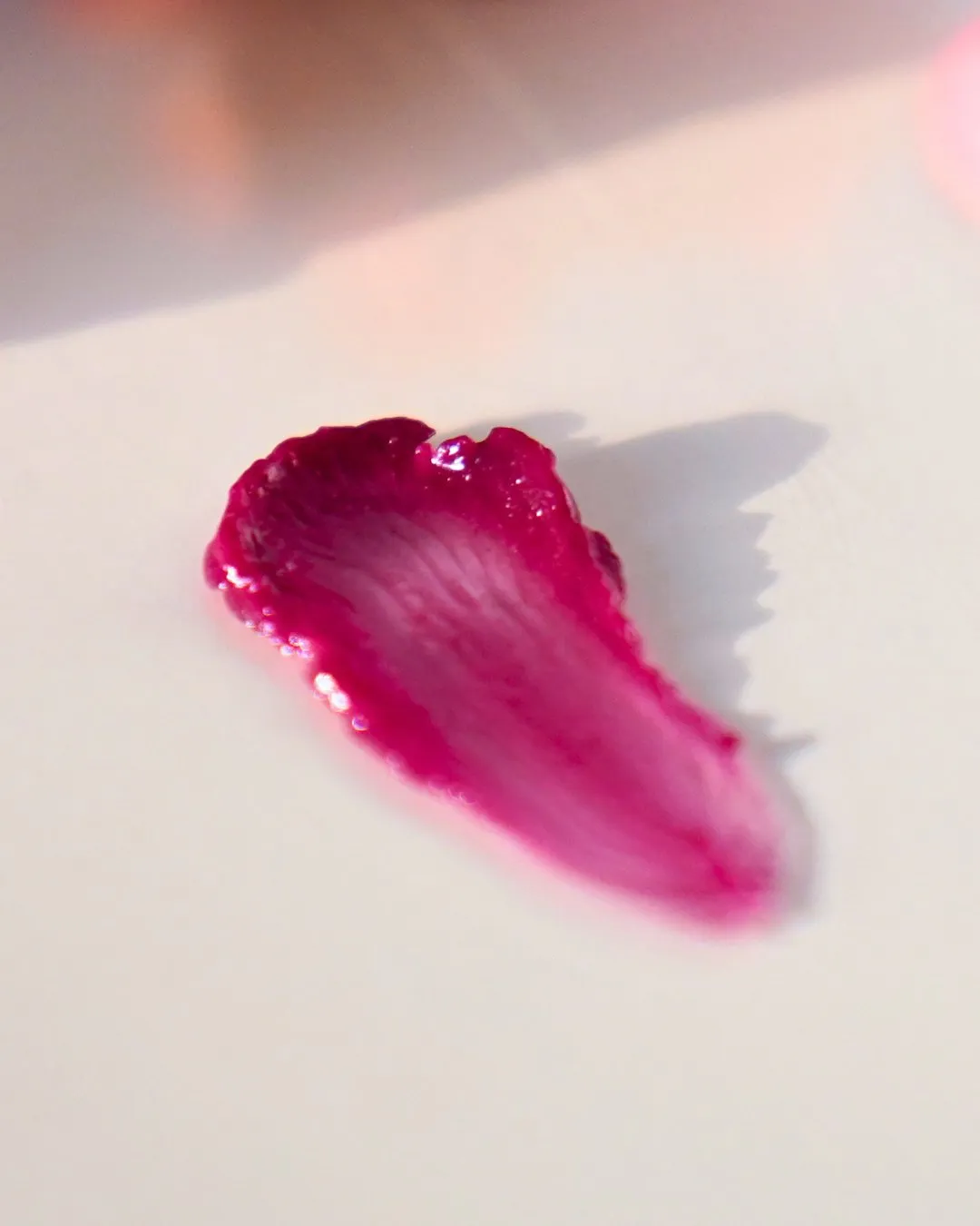 NOURISH Lip   Cheek Tint