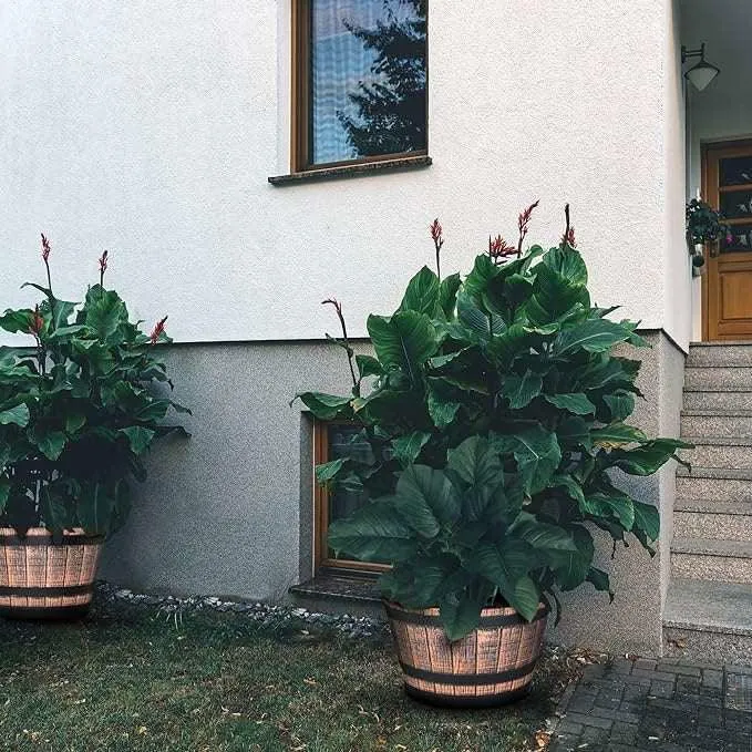 SG Traders™ Large Half Barrel Cask Planter