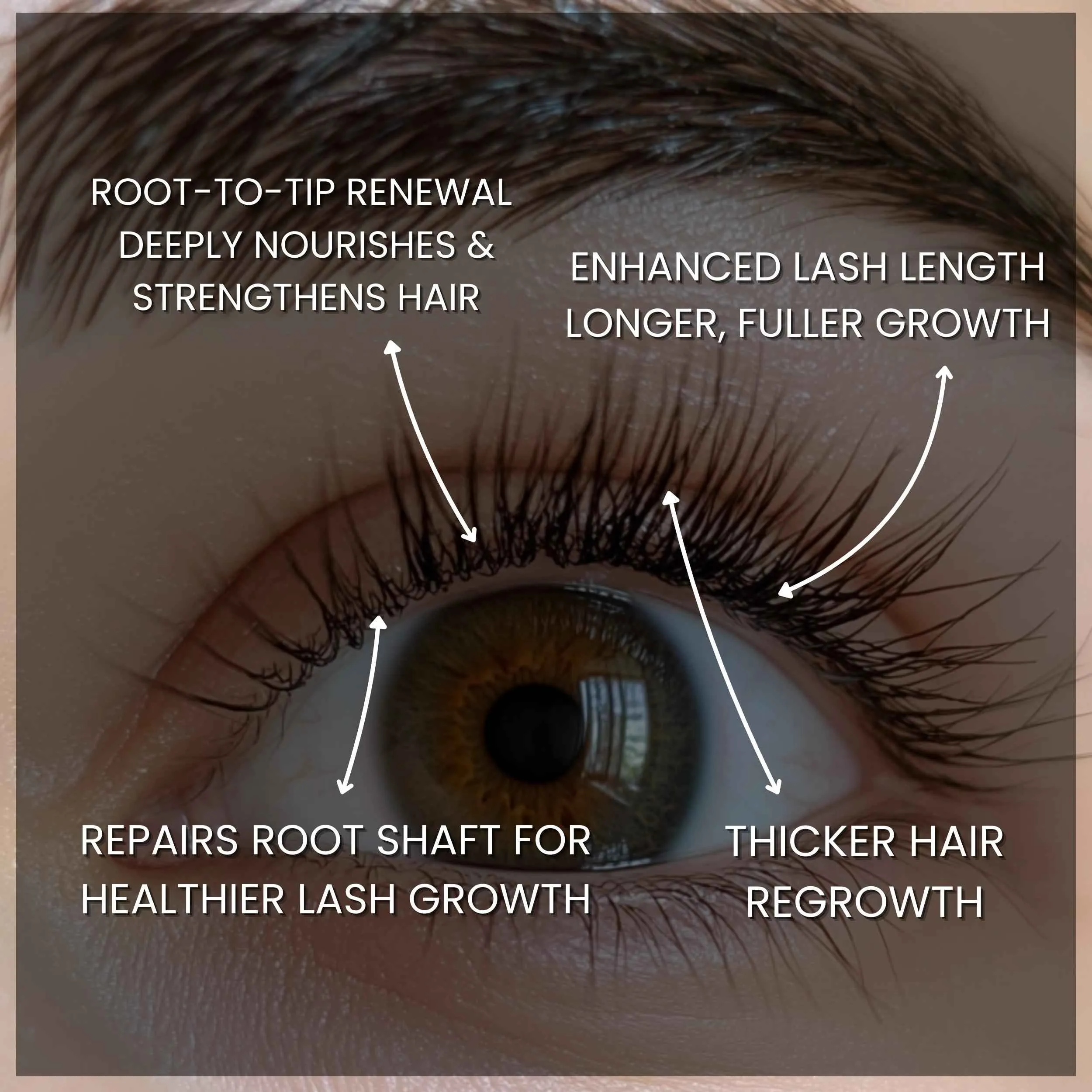 Vegan Lash & Brow Growth Serum Treatment Nourishing & Strengthening Formula for Fuller, Healthier Hair